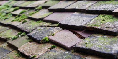 Badgworth roof repair costs